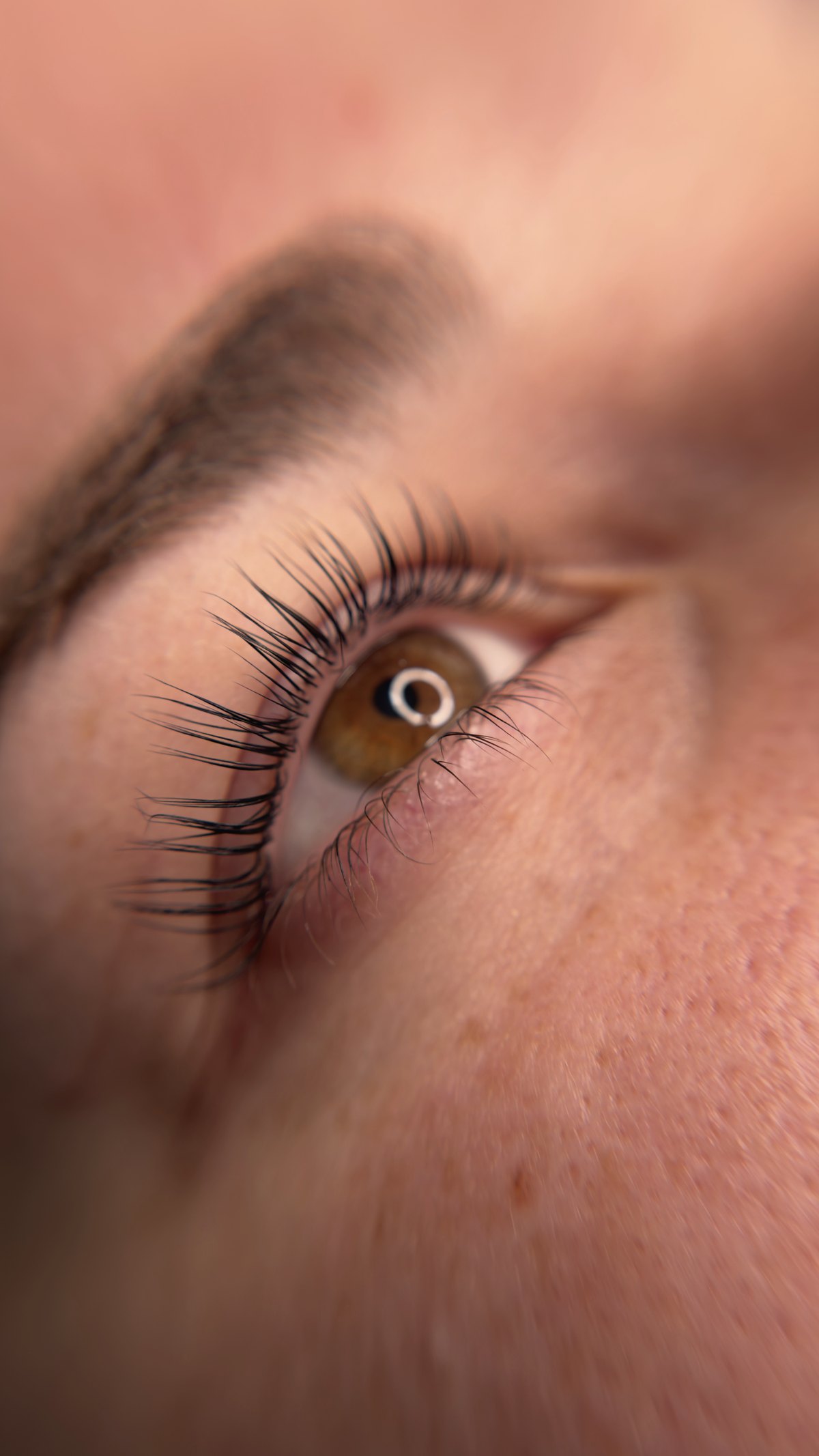 Geschwungene Wimpern nach dem Lifting, braunes Auge
