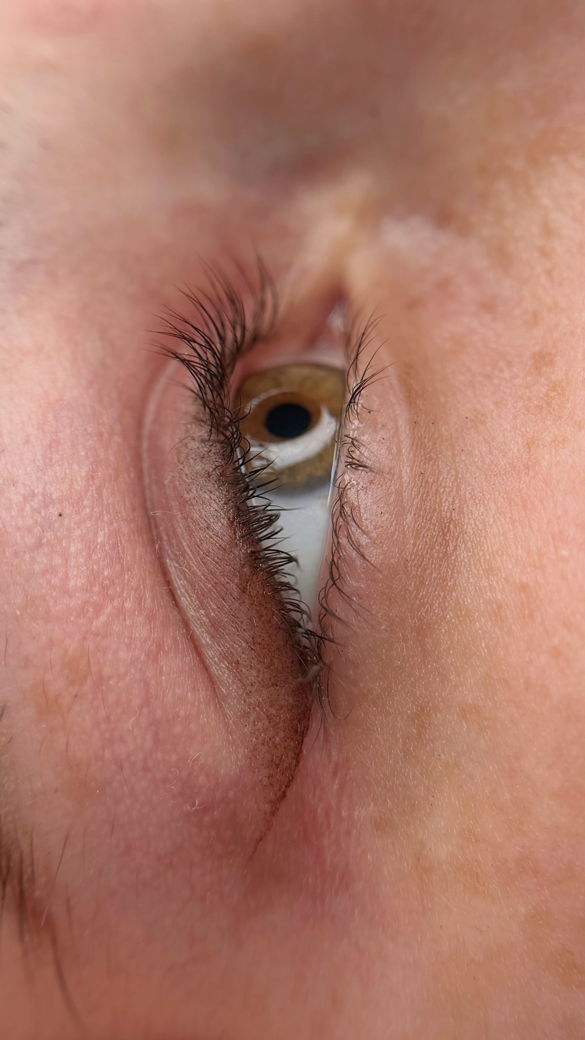 Frischer Lidstrich mit weicher Schattierung, braunes Auge